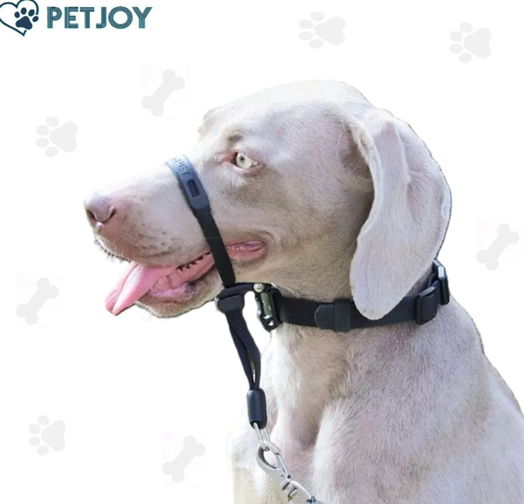 נשכן לכלב -Dog mouth leash