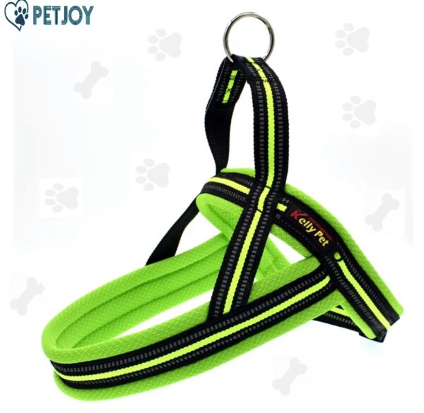 רתמת בטן נוחה  לכלב -Dog leash vest