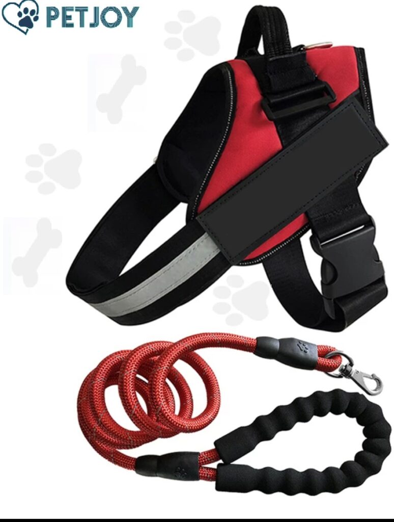 רתמה + רצועה לטיול לכלב -dog set vest+leash