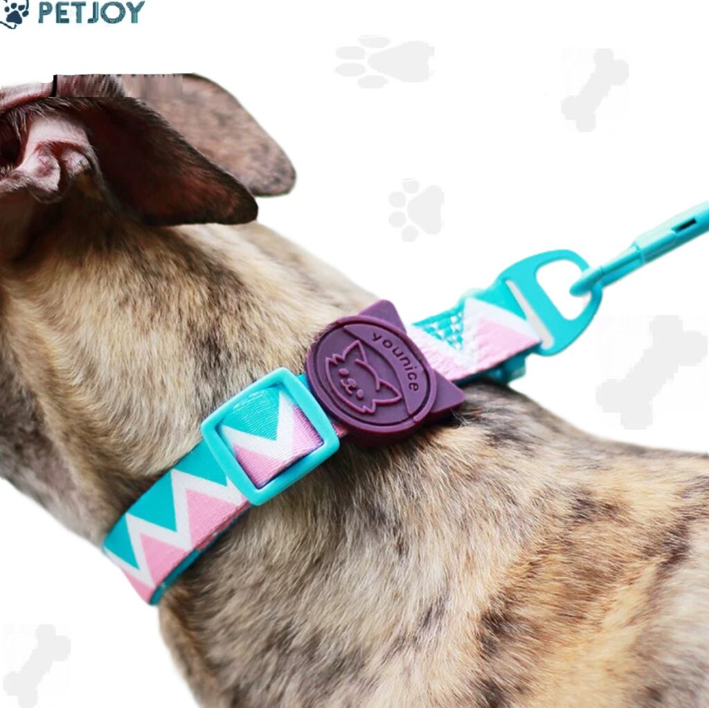 סט רצועה עם קולר -Dog leash+colar