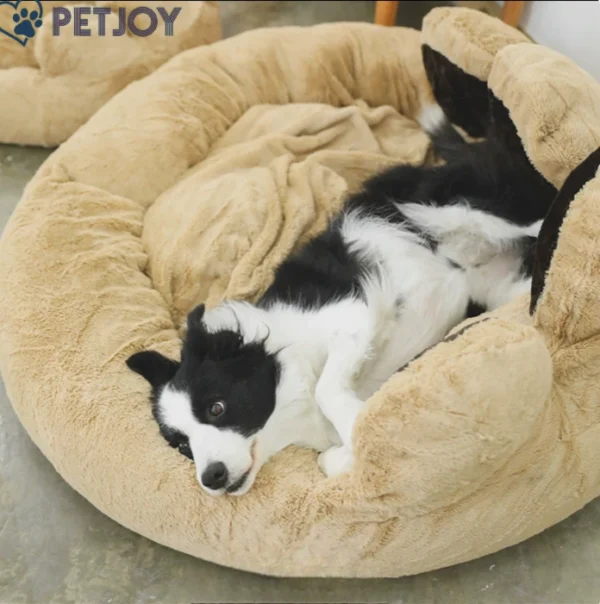 מיטה לכלב בצורת כף יד -Dog bed - Image 2