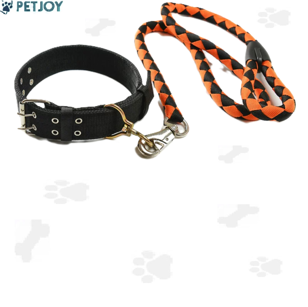 סט רצועה עם קולר – Dog lesh+colar